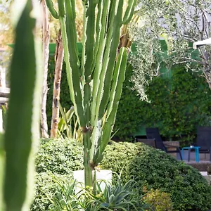 Hotel Mercure Centre Notre Dame, Nizza